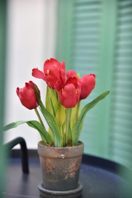 Tiny Treasure Apartment Athens Luaran gambar