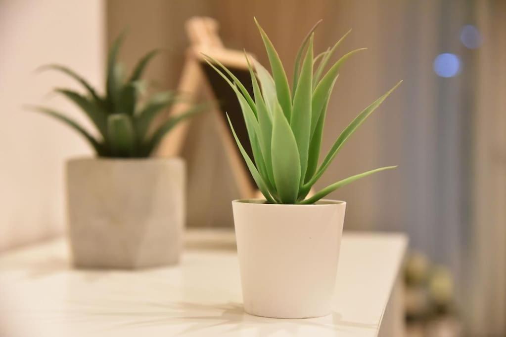Tiny Treasure Apartment Athens Luaran gambar